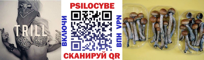 Псилоцибиновые грибы MAGIC MUSHROOMS  Купить закладки  Апрелевка 